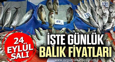 GÜNLÜK BALIK FİYATLARI