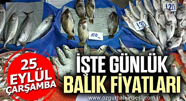 GÜNLÜK BALIK FİYATLARI