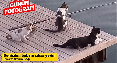 GÜNÜN FOTOĞRAFI