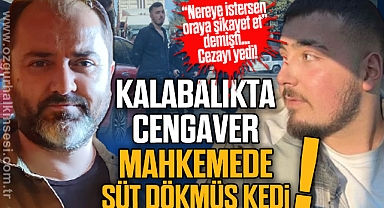 KALABALIKTA CENGAVER MAHKEMEDE SÜT DÖKMÜŞ KEDİ!