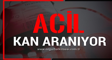 KAN ARANIYOR