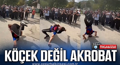 KÖÇEK DEĞİL AKROBAT