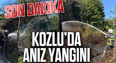 KOZLU'DA ANIZ YANGINI