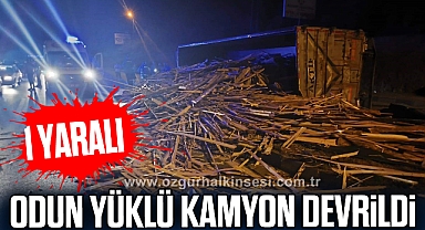 Odun yüklü kamyon devrildi:1 yaralı