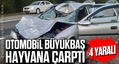 Otomobil büyükbaş hayvana çarptı; 4 yaralı