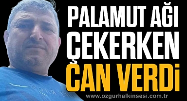 PALAMUT AĞI ÇEKERKEN CAN VERDİ