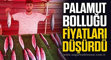 PALAMUT BOLLUĞU FİYATLARI DÜŞÜRDÜ