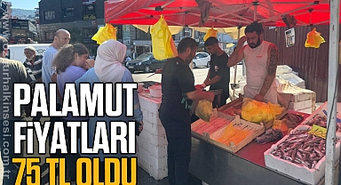 Palamut fiyatları 75 TL oldu