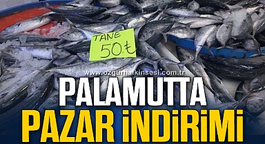 PALAMUTTA PAZAR İNDİRİMİ