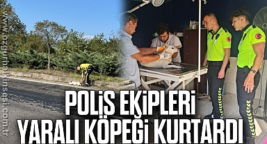 Polis ekipleri yaralı köpeği kurtardı