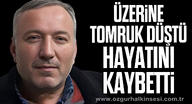 Üzerine tomruk düştü hayatını kaybetti