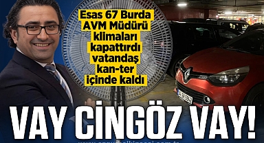 VAY CİNGÖZ VAY!
