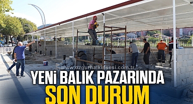 Yeni Balık Pazarında Son Durum