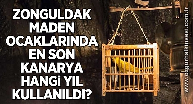 Zonguldak maden ocaklarında en son kanarya hangi yıl kullanıldı?