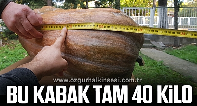 40 kilogramlık 110 santimetrelik kabak görenleri şaşırttı