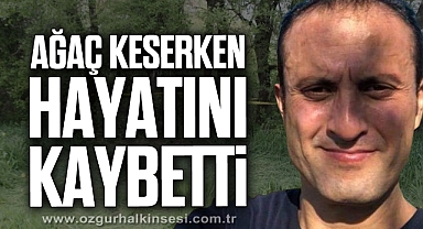 AĞAÇ KESERKEN HAYATINI KAYBETTİ