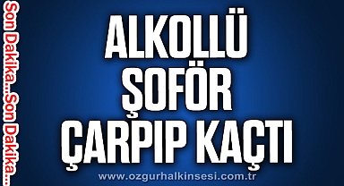 ALKOLLÜ ŞOFÖR ÇARPIP KAÇTI