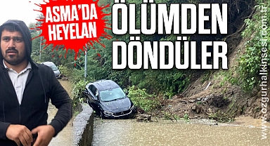 Asma'da heyelan: Ölümden döndüler
