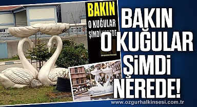 BAKIN O KUĞULAR ŞİMDİ NEREDE!