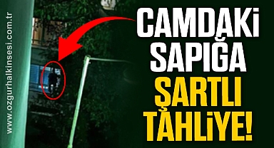 CAMDAKİ SAPIĞA ŞARTLI TAHLİYE
