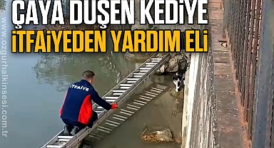 Çaya düşen kedinin yardım çağrısına itfaiye yetişti