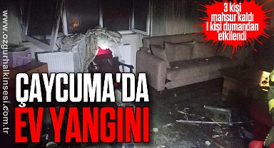 Çaycuma'da ev yangını