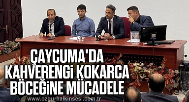 Çaycuma'da kahverengi kokarca böceğine mücadele