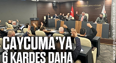 Çaycuma’ya 6 kardeş daha