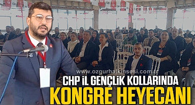 CHP İL GENÇLİK KOLLARINDA KONGRE HEYECANI