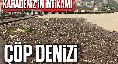 ÇÖP DENİZİ