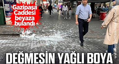 DEĞMESİN YAĞLI BOYA 