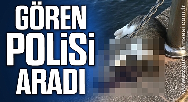 Deniz kenarında kanları gören polisi aradı