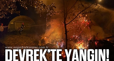 Devrek'te yangın... Uzuz atlatıldı!