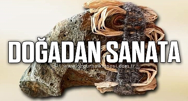 DOĞADAN SANATA