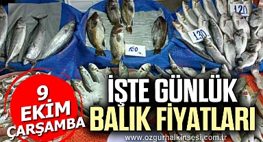GÜNLÜK BALIK FİYATLARI