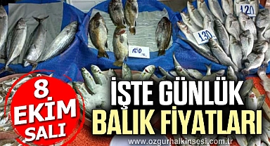 GÜNLÜK BALIK FİYATLARI