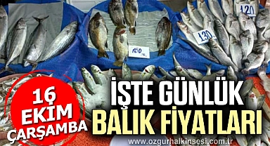 GÜNLÜK BALIK FİYATLARI