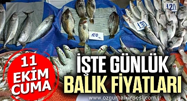 GÜNLÜK BALIK FİYATLARI