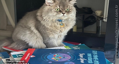 GÜNÜN FOTOĞRAFI