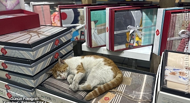 GÜNÜN FOTOĞRAFI