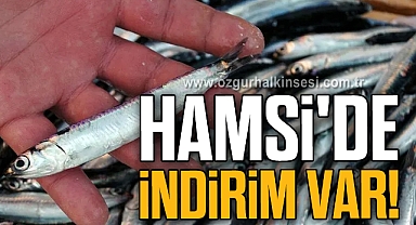 HAMSİ'DE İNDİRİM VAR!
