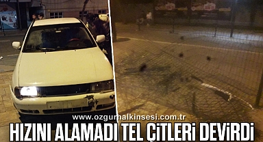 Hızını alamadı tel çitleri devirdi