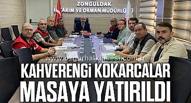 KAHVERENGİ KOKARCALAR MASAYA YATIRILDI