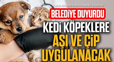 Kedi köpeklere aşı ve çip uygulanacak