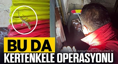 BU DA KERTENKELE OPERASYONU