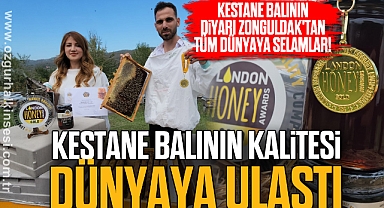 Kestane balının kalitesi dünyaya ulaştı