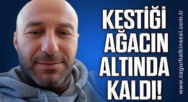 Kestiği ağacın altında kaldı