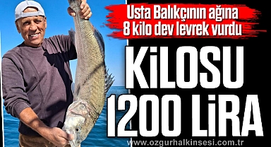 KİLOSU 1200 LİRA