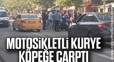 Motosikletli kurye köpeğe çarptı