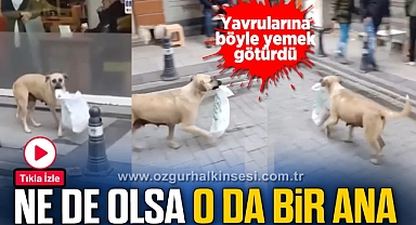 Ne de olsa o da bir ana